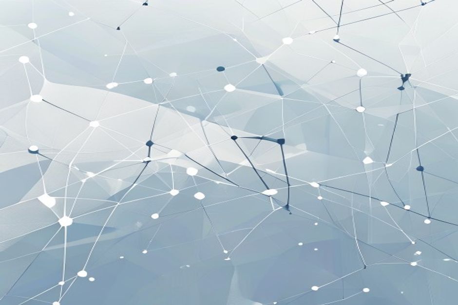 Connected network visualization representing member benefits